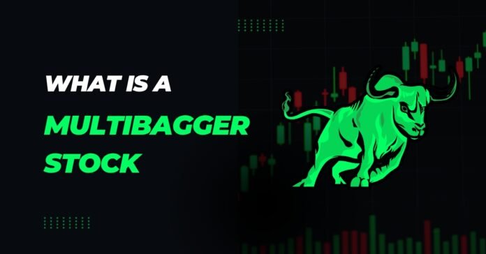 what is a multibagger stock