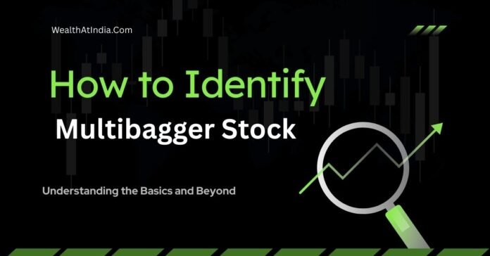 How to Identify the Next Multibagger in Indian Stock Market