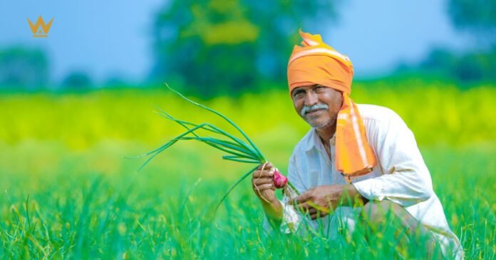 National Farmer Day 2025: Why Kisan Diwas is Trending and What it Means for India’s Future Farmer Day